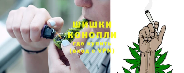 молекула духа Зерноград
