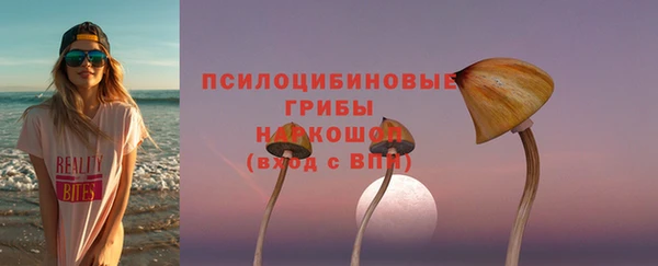 твердый Зеленодольск