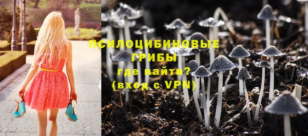 твердый Зеленодольск