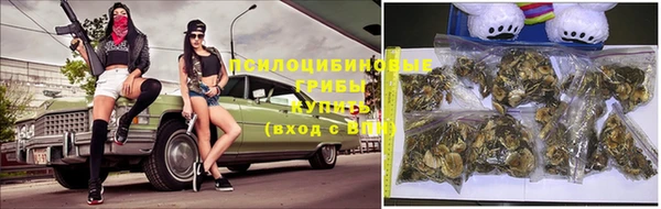 молекула духа Зерноград