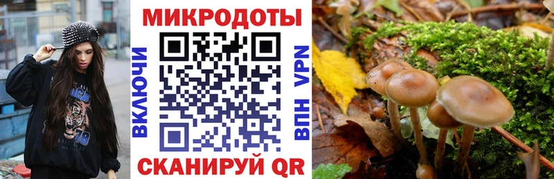 Купить где  Бобров  Галлюциногенные грибы GOLDEN TEACHER 